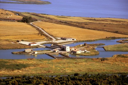 Invito incontro di presentazione del percorso partecipativo per il riconoscimento del distretto rurale della sardegna centro occidentale